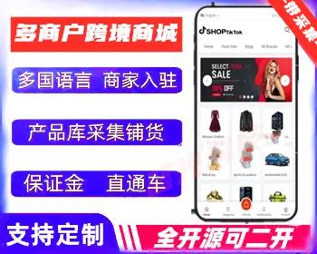 【运营版】多语言多商户TikTok跨境商城源码|独立站跨境tiktokshop外贸电商系统App
