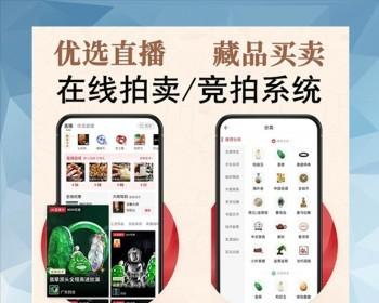 竞拍系统APP拍卖平台开发系统商城h5小程序定制源码搭建抢购拼团秒杀二手字画转拍溢价