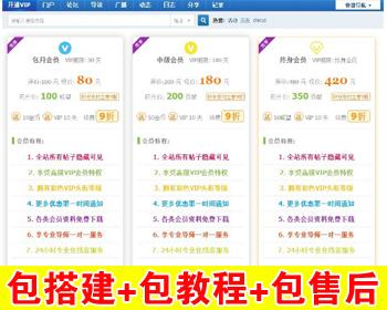 【包搭建】仿Discuz会员用户组1.4版本 支持PC和手机VIP自助开通 dz插件 搭建教程