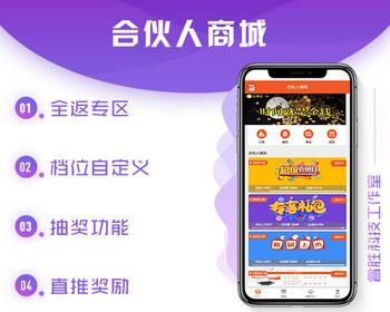 直销商城/合伙人/理财/直推/积分商城可以二开