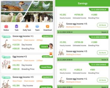 国际版多语言理财充电宝影视养殖适用于任何行业投资源码