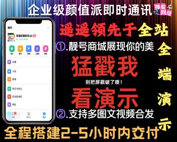 【轻松达20w并发---带全端演示】2025im聊天通话社交语聊新款即时通讯Java源码原生四端