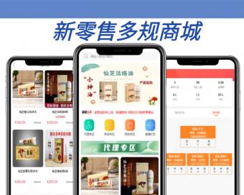 2025报单商城/积分商城/三三复制/链动2 1/可接定制开发