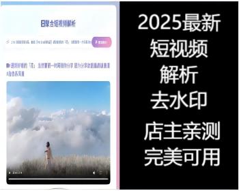 【包搭建】抖音/快手/小红书等视频解析，视频去水印，下载视频系统源码 /