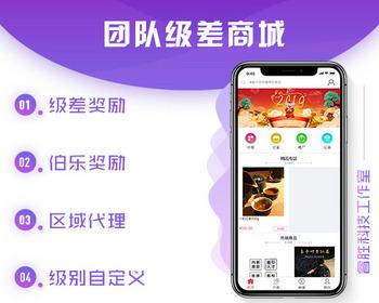 直销商城，团队业绩/省市代理/级差奖/平级奖/