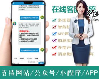 新版国际十种语言防黑版/即时通讯聊天/多商户无限坐席在线客服系统/带机器人带翻译