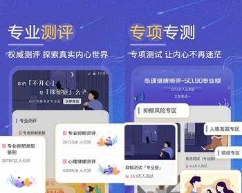 新UI设计付费心理测试网站源码心理测试智商测试抑郁症测试亲子测试软件系统定制