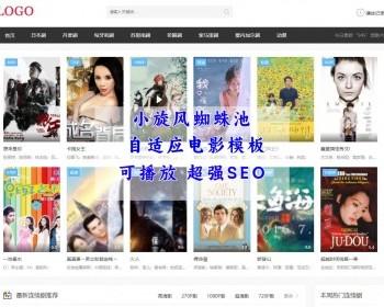 小旋风蜘蛛池电影模板 黑色自适应影视 超强seo高权模板 蜘蛛池通用