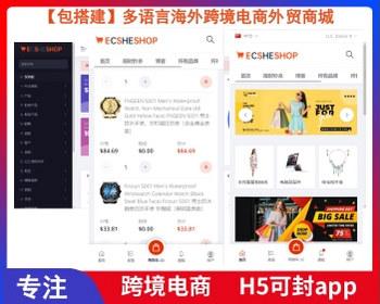 【包搭建】TikToKshop跨境电商H5可封app-多语言海外跨境电商外贸商城商家入驻一键铺
