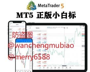 MT5包搭建mt5白标插件EA,MT4出售出租CRM系统源码包搭建出售小白标源码系统出售