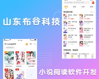 山东布谷仿飞读小说程序开发小说阅读应用软件开发小说APP软件专业原生开发