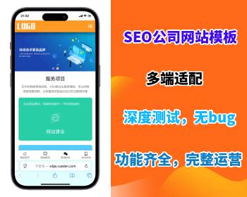 SEO优化公司官网模板网络公司企业网站PC版移动端自适应免授权独立部署网站系统源码