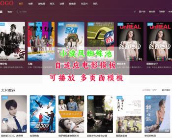 小旋风自适应电影模板 小旋风蜘蛛池视频模板 支持播放 12