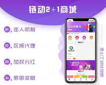 链动2 1链动模式股东分红直推奖见点奖平级奖加权分红区域代理公排分销商城