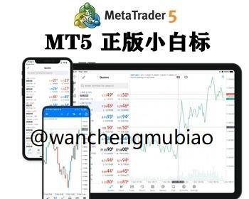 MT5申请搭建/MT4/FX6/ZA7/ST5/ST7和mt5搭建最完善外汇白标主标crm系统平台源码出售