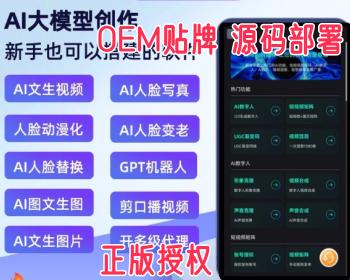 AI sora2源码 短视频抖音矩阵发布系统 小红书矩阵 快手矩阵 视频号矩阵源码