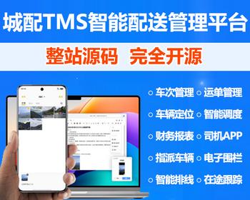 城配管理软件源码 智能配送管理平台 车辆配送系统二开 仓配管理系统