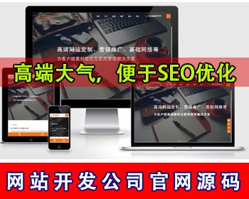 网络科技公司网站源码网站建设开发公司推广官网源码建站网站外包开发软件公司官网搭建
