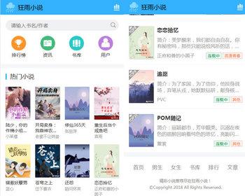 狂雨小说免费小说系统在线小说电子书阅读开源版自带采集规则含手机模板带数据